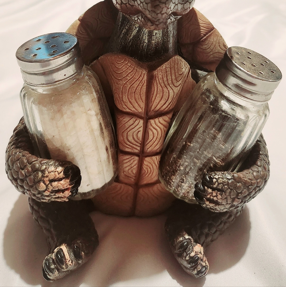 Turtle Salt & Pepper Shaker Set - Picture 3 of 3